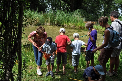 decouvertes betes aquatiques